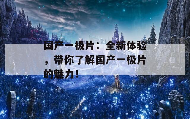 国产一极片：全新体验，带你了解国产一极片的魅力！