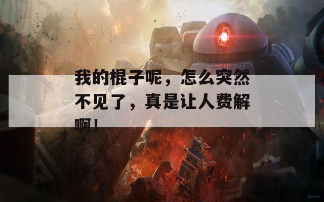 我的棍子呢，怎么突然不见了，真是让人费解啊！