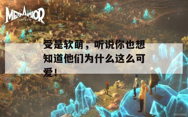 受是软萌，听说你也想知道他们为什么这么可爱！