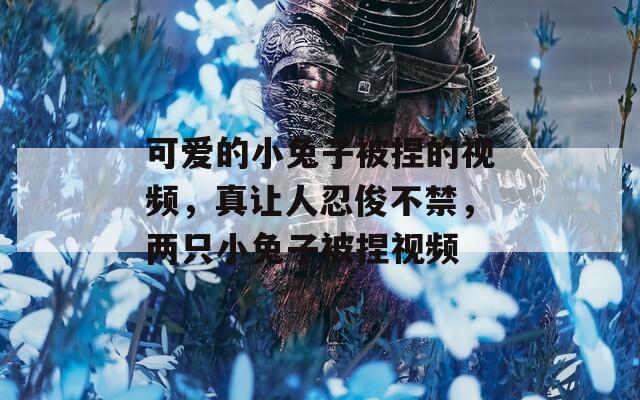 可爱的小兔子被捏的视频，真让人忍俊不禁，两只小兔子被捏视频