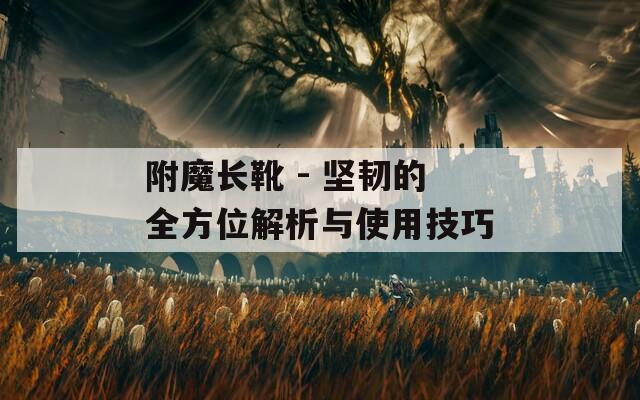 附魔长靴 - 坚韧的全方位解析与使用技巧