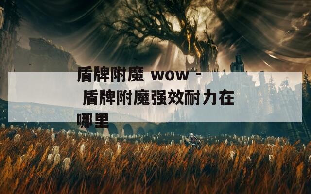 盾牌附魔 wow - 盾牌附魔强效耐力在哪里