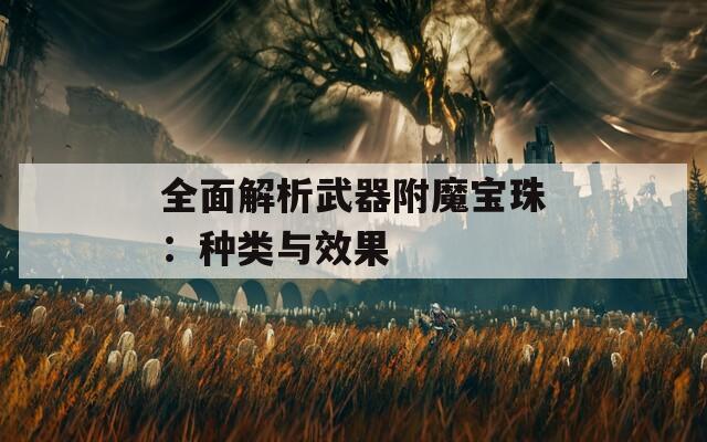 全面解析武器附魔宝珠：种类与效果