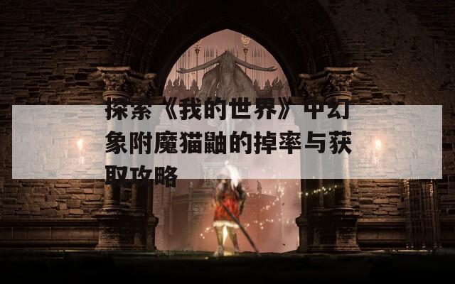探索《我的世界》中幻象附魔猫鼬的掉率与获取攻略