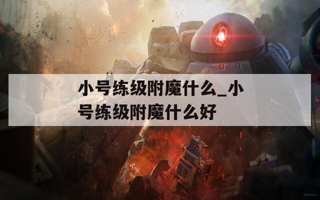 小号练级附魔什么_小号练级附魔什么好