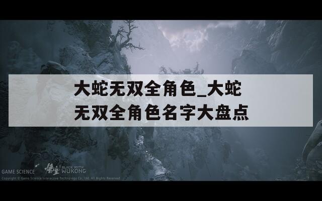 大蛇无双全角色_大蛇无双全角色名字大盘点