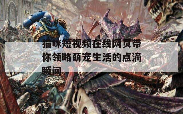 猫咪短视频在线网页带你领略萌宠生活的点滴瞬间