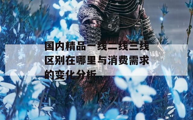国内精品一线二线三线区别在哪里与消费需求的变化分析