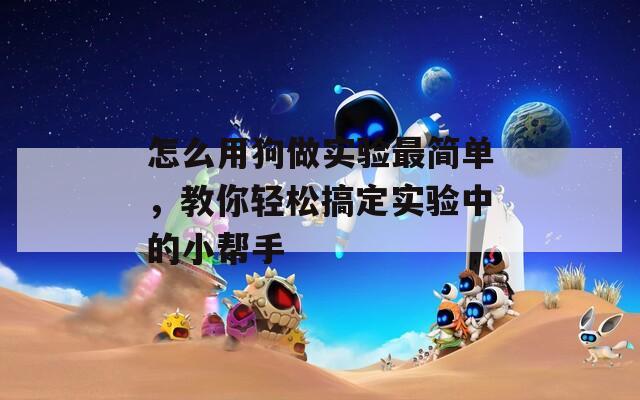 怎么用狗做实验最简单，教你轻松搞定实验中的小帮手