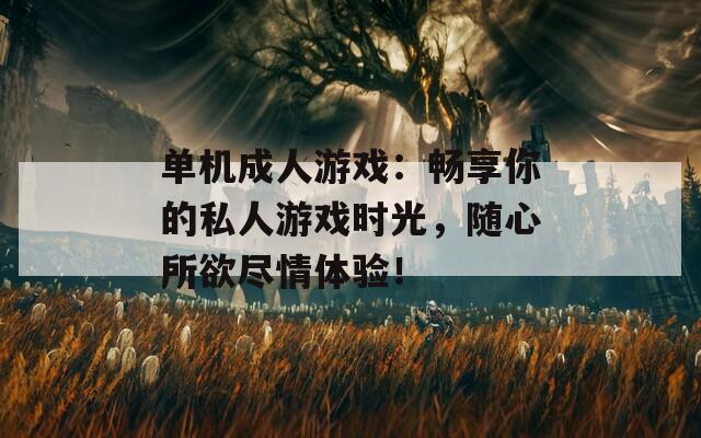 单机成人游戏：畅享你的私人游戏时光，随心所欲尽情体验！