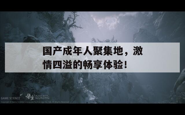 国产成年人聚集地，激情四溢的畅享体验！
