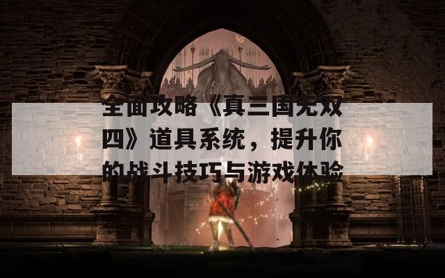 全面攻略《真三国无双四》道具系统，提升你的战斗技巧与游戏体验