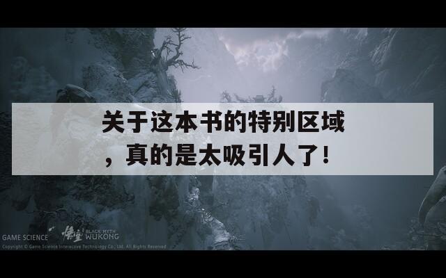 关于这本书的特别区域，真的是太吸引人了！