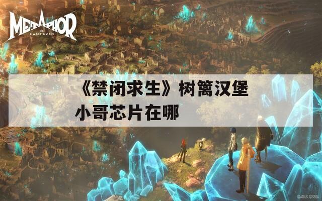 《禁闭求生》树篱汉堡小哥芯片在哪