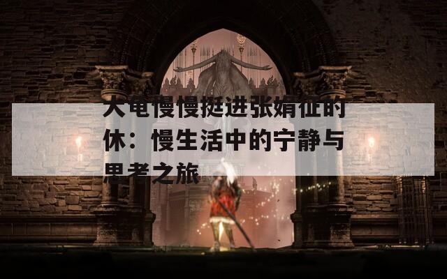 大龟慢慢挺进张娟征的休：慢生活中的宁静与思考之旅