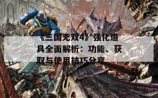 《三国无双4》强化道具全面解析：功能、获取与使用技巧分享