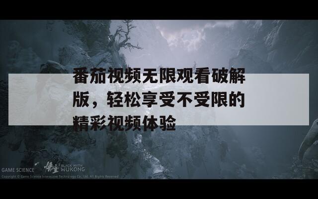 番茄视频无限观看破解版，轻松享受不受限的精彩视频体验