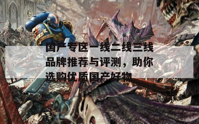 国产专区一线二线三线品牌推荐与评测，助你选购优质国产好物