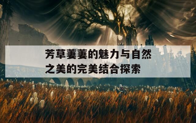 芳草萋萋的魅力与自然之美的完美结合探索