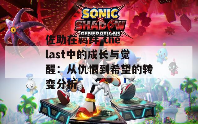 佐助在羁绊 the last中的成长与觉醒：从仇恨到希望的转变分析
