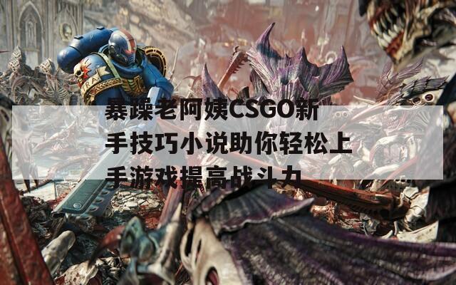 暴躁老阿姨CSGO新手技巧小说助你轻松上手游戏提高战斗力