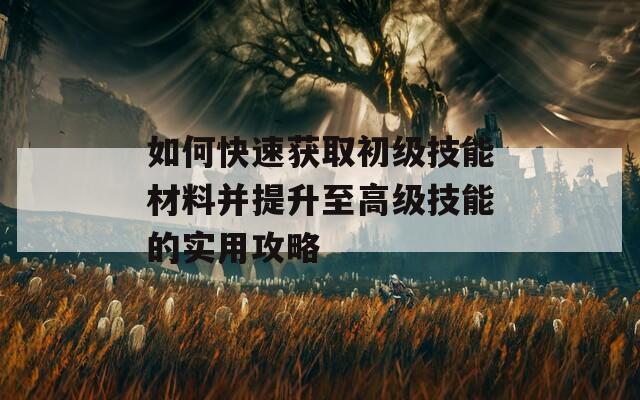 如何快速获取初级技能材料并提升至高级技能的实用攻略