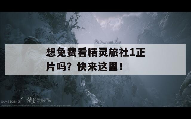 想免费看精灵旅社1正片吗？快来这里！