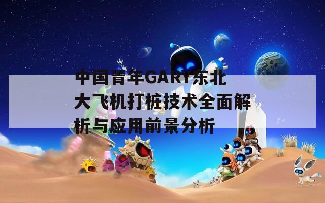 中国青年GARY东北大飞机打桩技术全面解析与应用前景分析