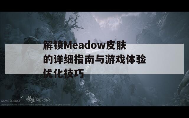 解锁Meadow皮肤的详细指南与游戏体验优化技巧