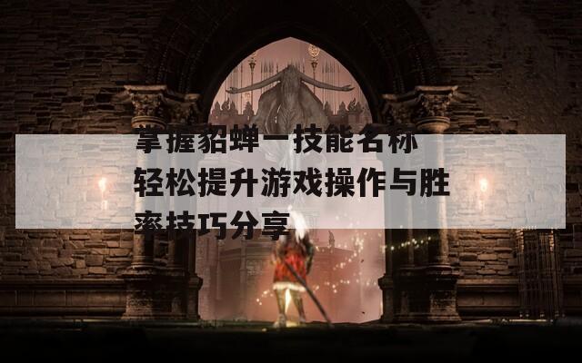 掌握貂蝉一技能名称 轻松提升游戏操作与胜率技巧分享
