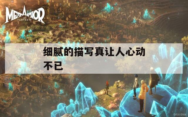 细腻的描写真让人心动不已