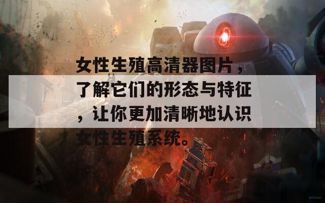 女性生殖高清器图片，了解它们的形态与特征，让你更加清晰地认识女性生殖系统。