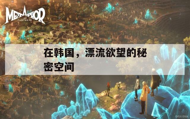 在韩国，漂流欲望的秘密空间