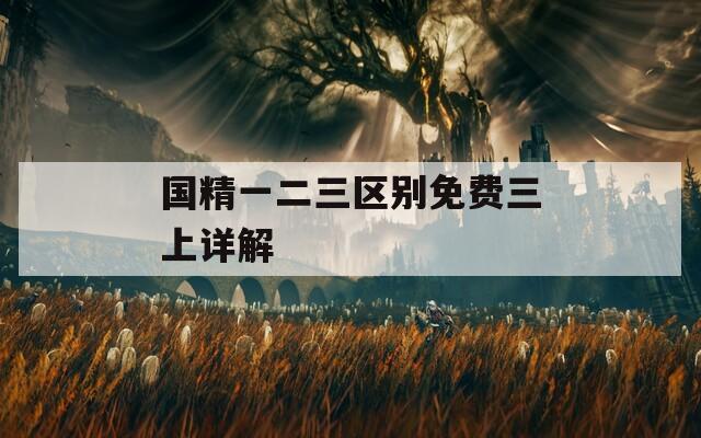 国精一二三区别免费三上详解