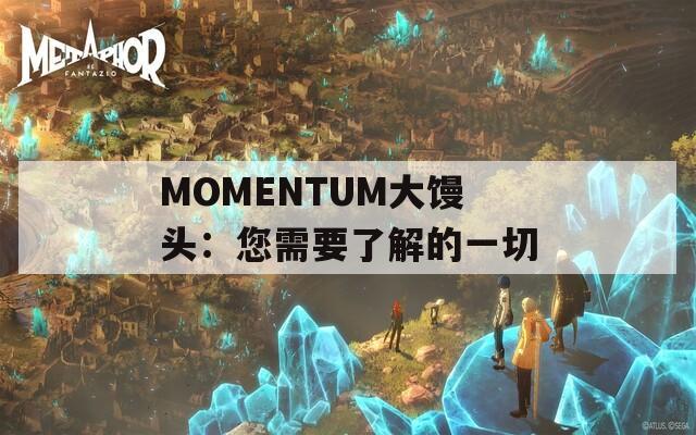 MOMENTUM大馒头：您需要了解的一切