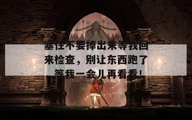 塞住不要掉出来等我回来检查，别让东西跑了，等我一会儿再看看！