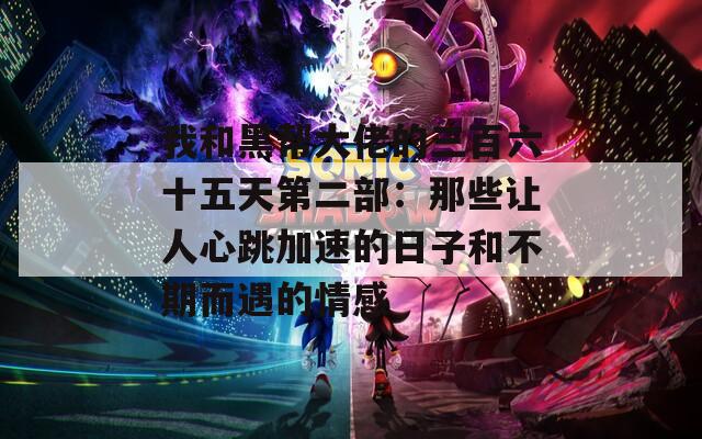 我和黑帮大佬的三百六十五天第二部：那些让人心跳加速的日子和不期而遇的情感