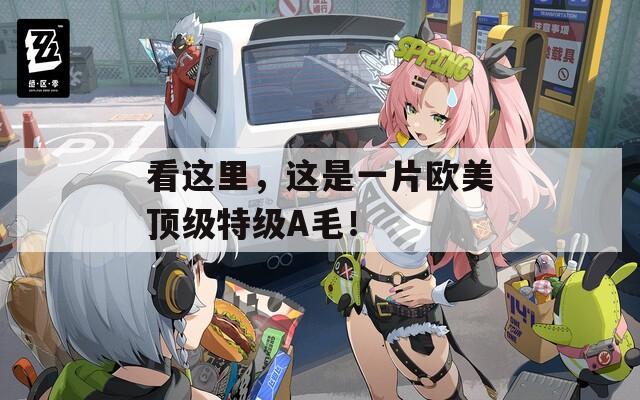 看这里，这是一片欧美顶级特级A毛！