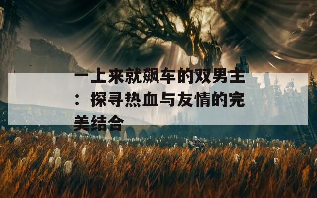 一上来就飙车的双男主：探寻热血与友情的完美结合