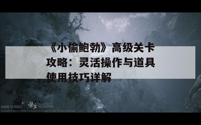 《小偷鲍勃》高级关卡攻略：灵活操作与道具使用技巧详解