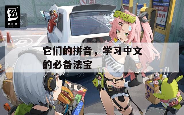 它们的拼音，学习中文的必备法宝