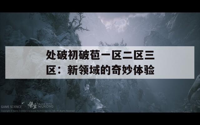 处破初破苞一区二区三区：新领域的奇妙体验