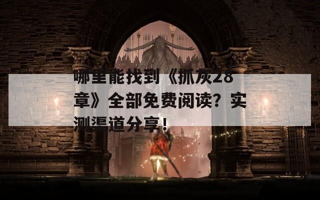 哪里能找到《抓灰28章》全部免费阅读？实测渠道分享！