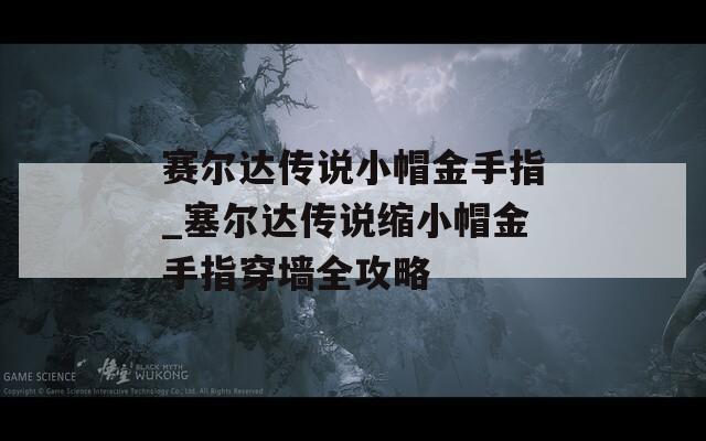 赛尔达传说小帽金手指_塞尔达传说缩小帽金手指穿墙全攻略