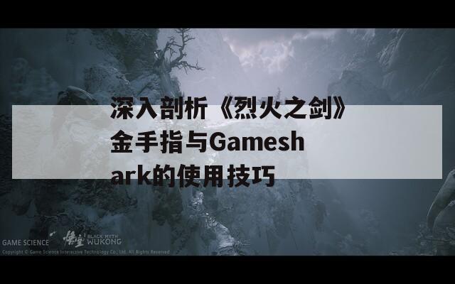 深入剖析《烈火之剑》金手指与Gameshark的使用技巧