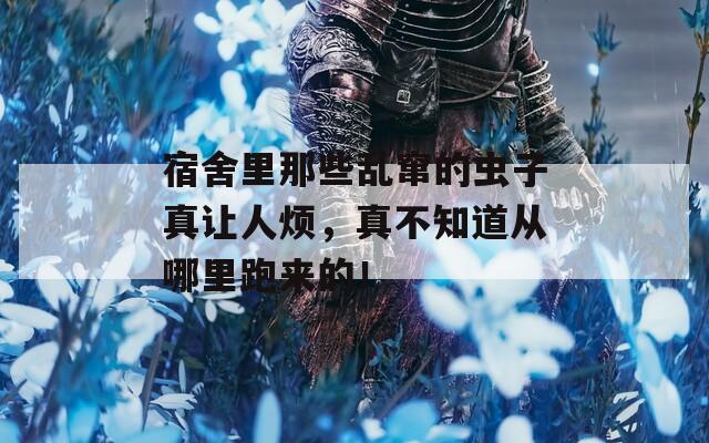 宿舍里那些乱窜的虫子真让人烦，真不知道从哪里跑来的！