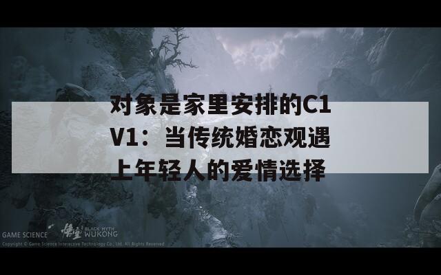 对象是家里安排的C1V1：当传统婚恋观遇上年轻人的爱情选择