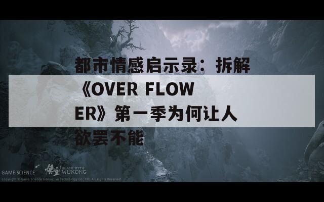 都市情感启示录：拆解《OVER FLOWER》第一季为何让人欲罢不能