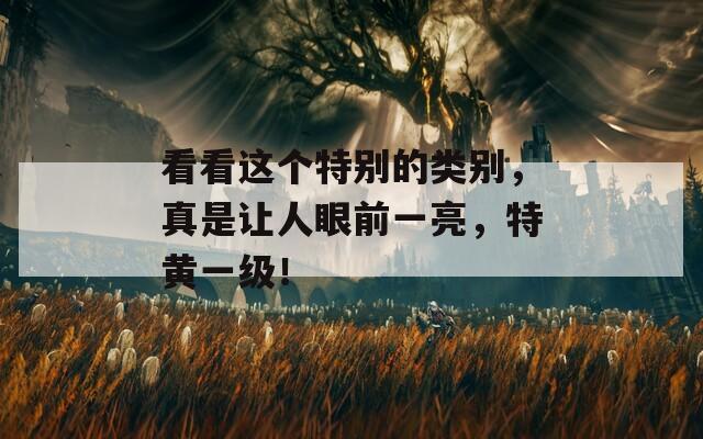 看看这个特别的类别，真是让人眼前一亮，特黄一级！