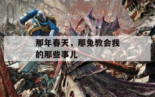 那年春天，那兔教会我的那些事儿